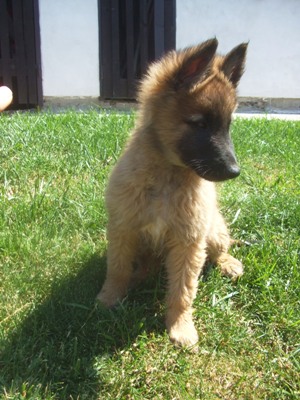 kali26.5.2009 052.jpg